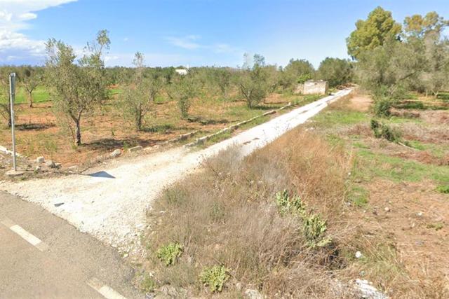 Agricoli in vendita