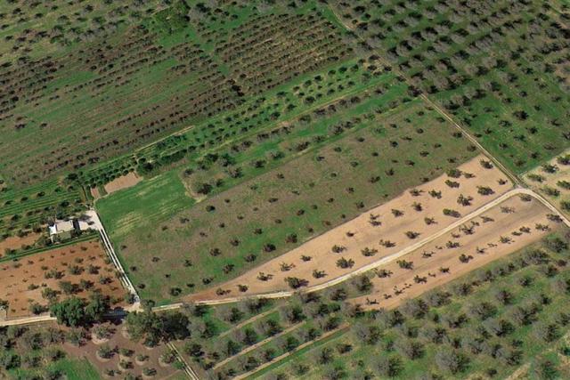 Agricoli in vendita