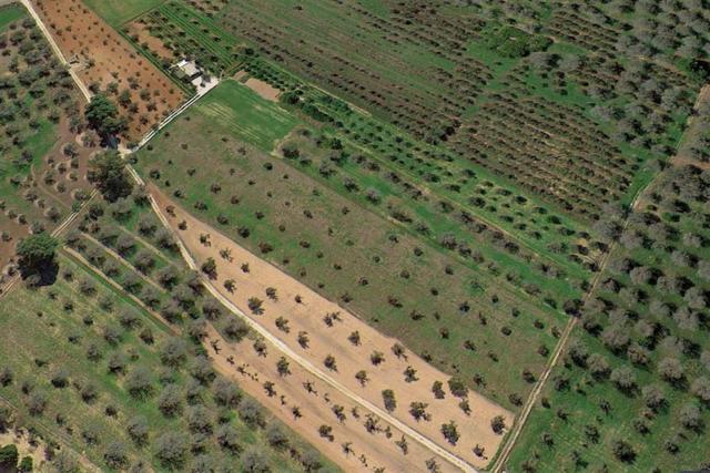 Agricoli in vendita