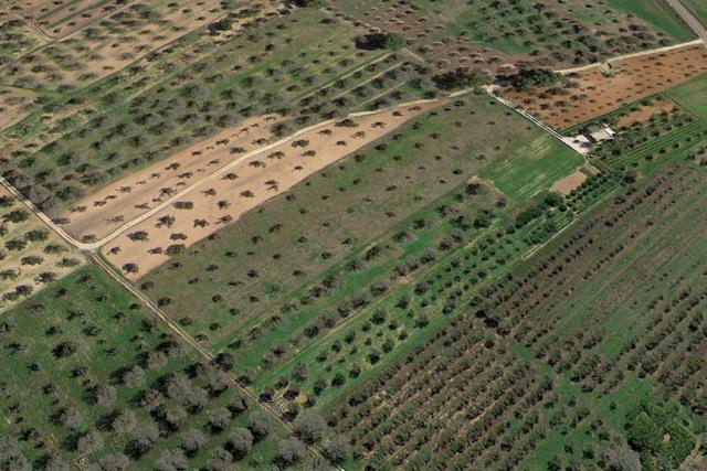 Agricoli in vendita