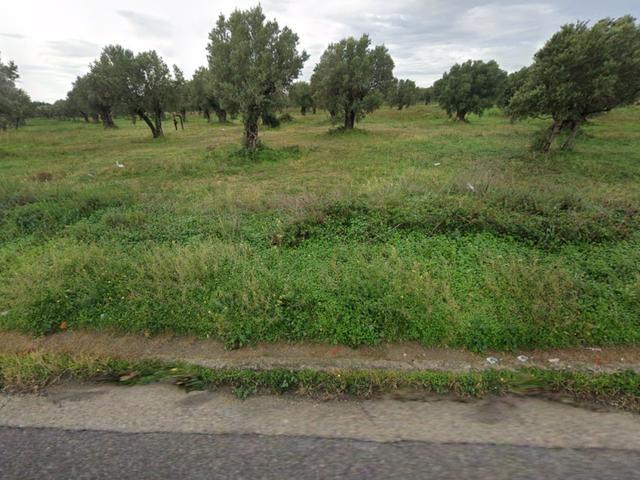 Edificabili in vendita