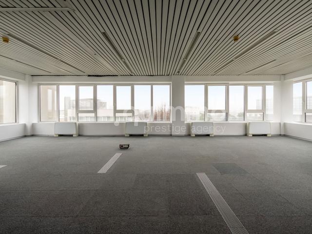 Grandi dimensioni in vendita