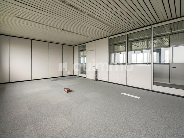 Grandi dimensioni in vendita