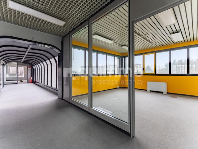 Grandi dimensioni in vendita