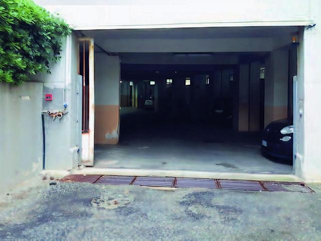 photogallery 3