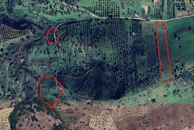 Agricoli in vendita
