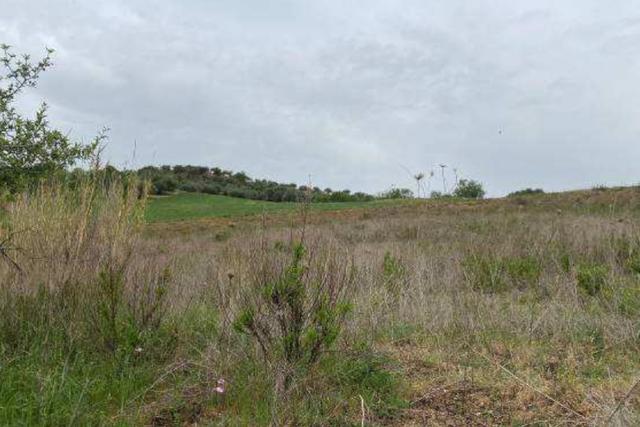 Agricoli in vendita