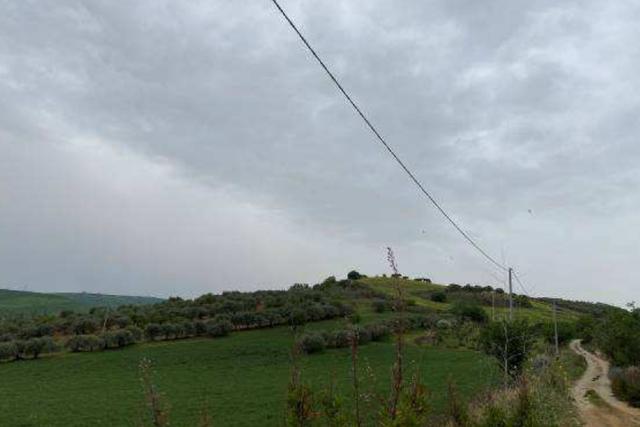 Agricoli in vendita