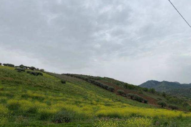 Agricoli in vendita