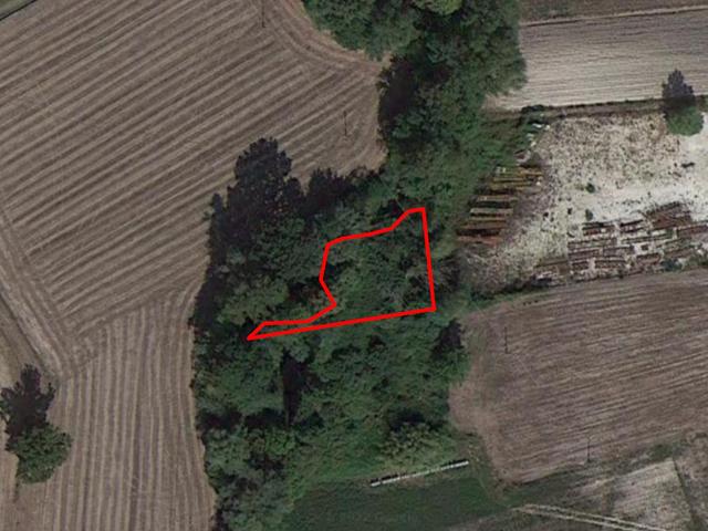 Agricoli in vendita