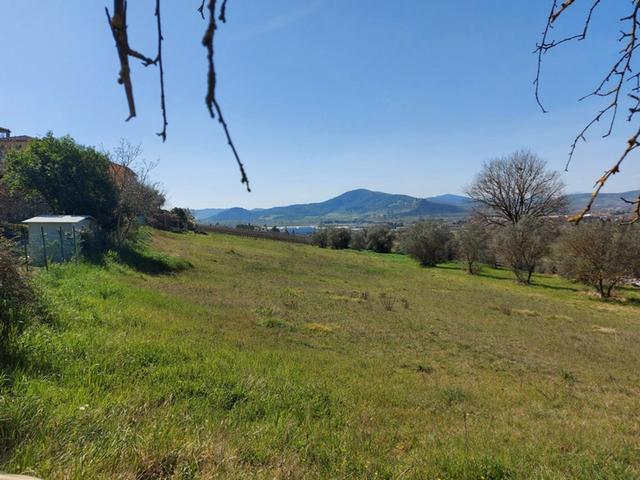 #12303 Terreno edificabile residenziale di 2.100 mq in vendita - foto 5