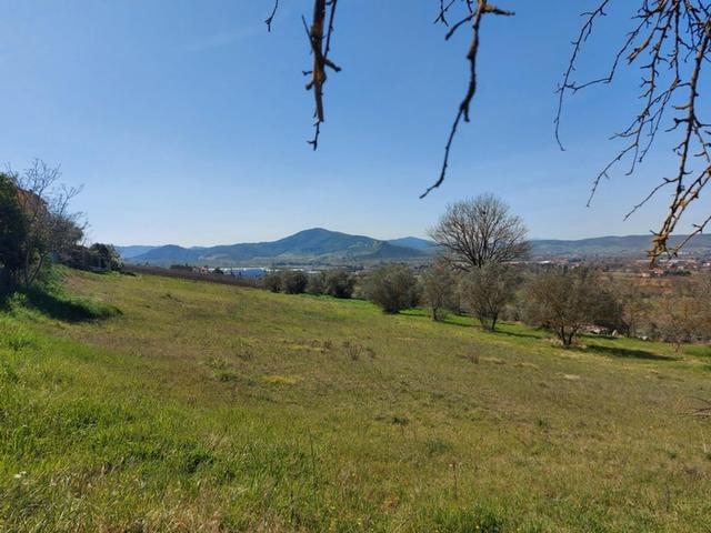 #12303 Terreno edificabile residenziale di 2.100 mq in vendita - foto 2