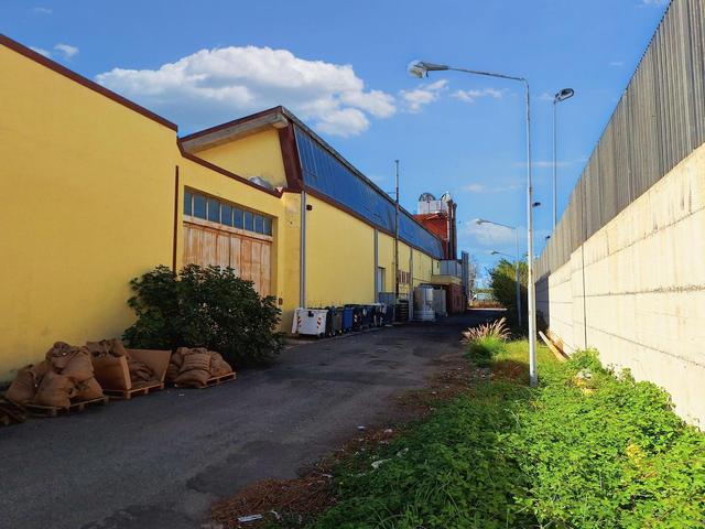 #22419 Cessione aziendale per la torrefazione e packaging del caffè in vendita - foto 4