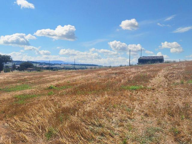 Agricoli in vendita