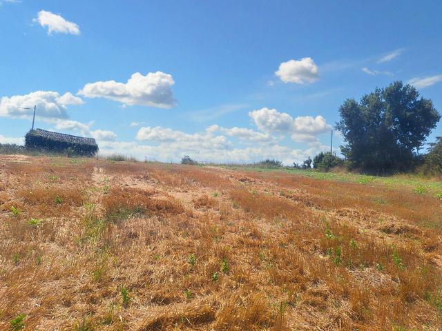 Agricoli in vendita