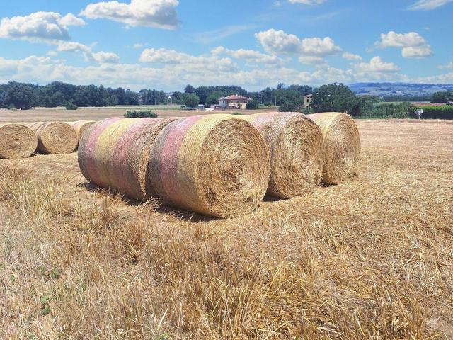 Agricoli in vendita