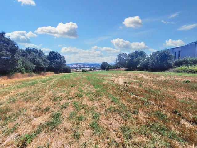 Agricoli in vendita