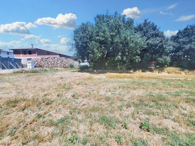 Agricoli in vendita