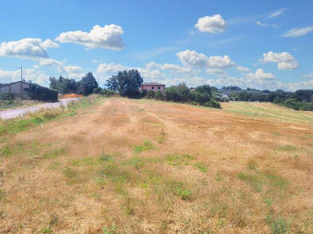 Agricoli in vendita
