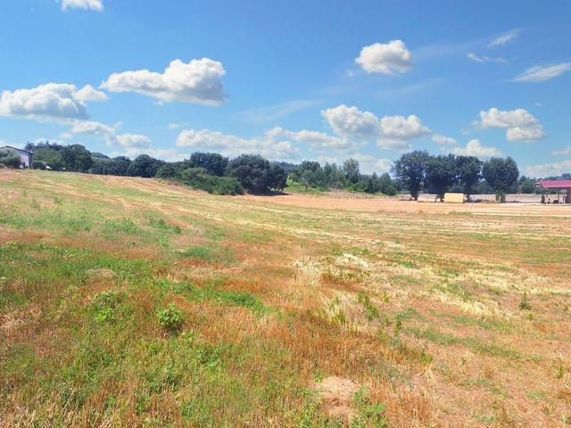 Agricoli in vendita