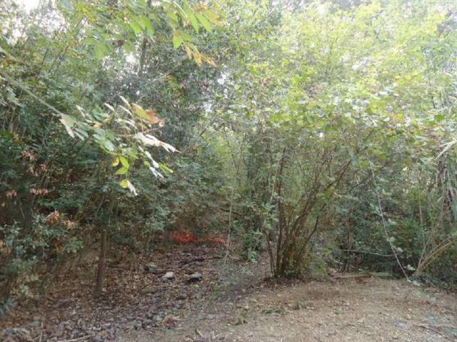 #2533011 Terreno agricolo di 22.921 mq in vendita - foto 3