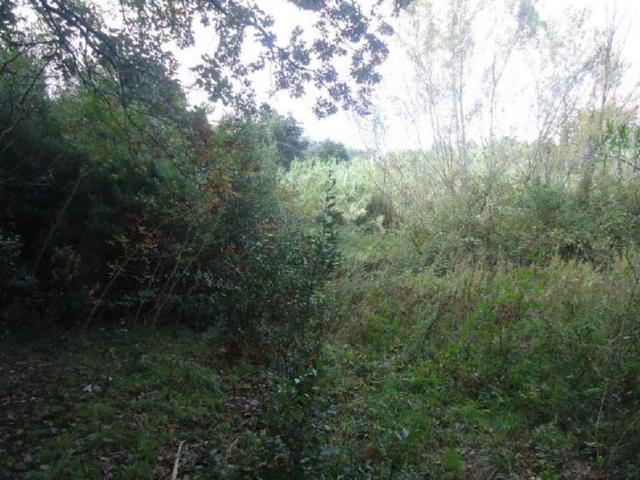 Agricoli in vendita