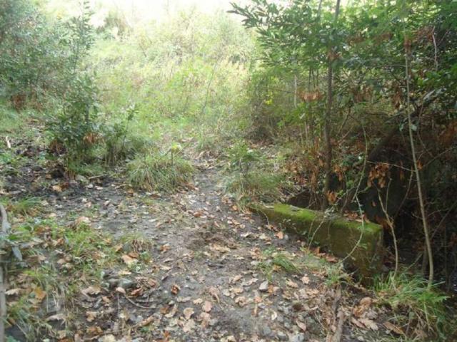 #2533011 Terreno agricolo di 22.921 mq in vendita - foto 5