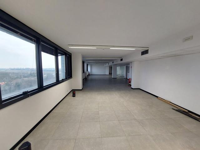 Grandi dimensioni in vendita