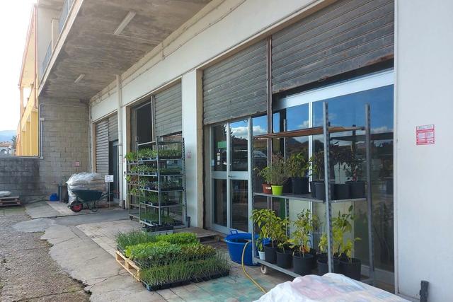 #21456 Complesso commerciale con cortile e pertinenze in vendita - foto 2