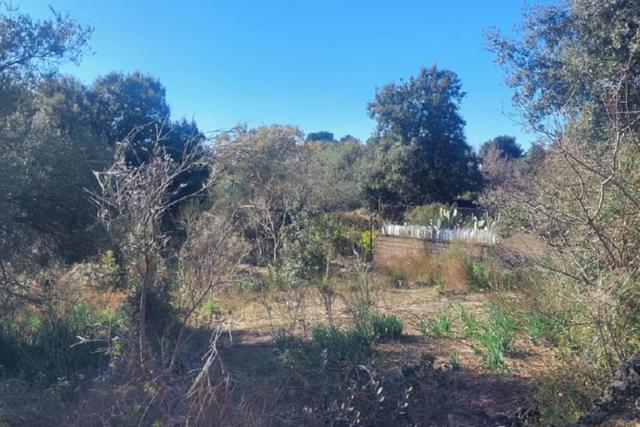 #2537153 Terreno edificabile in vendita - foto 2