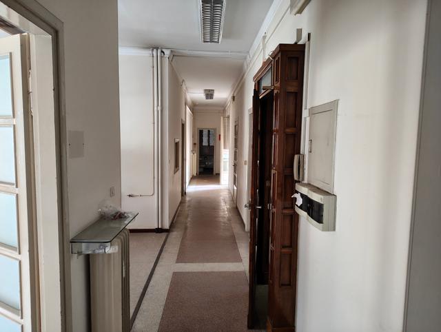 Grandi dimensioni in vendita