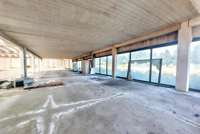 #2518002 Capannone artigianale con piazzale e uliveto in vendita - foto 4