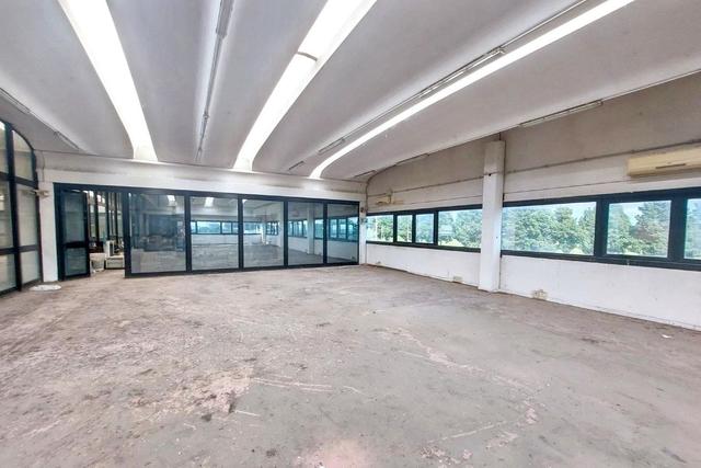 #2518002 Capannone artigianale con piazzale e uliveto in vendita - foto 13