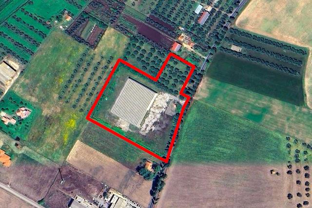 #2518002 Capannone artigianale con piazzale e uliveto in vendita - foto 21
