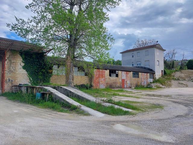 Stabilimenti produttivi in vendita
