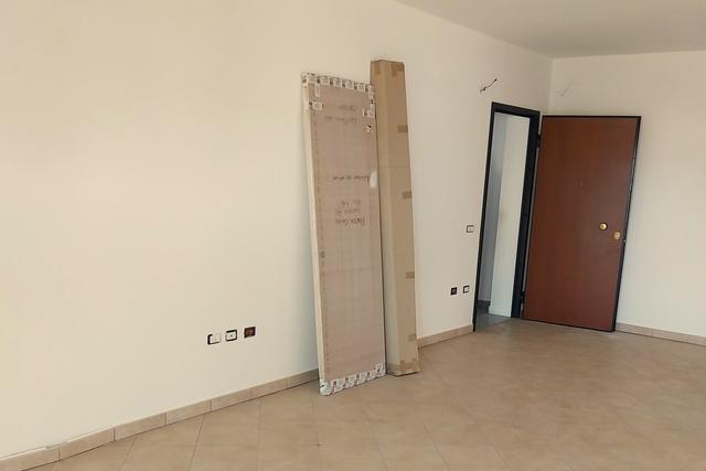 Grandi dimensioni in vendita