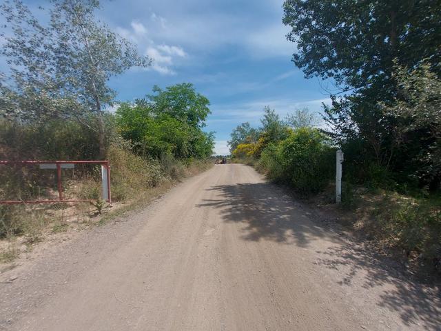 photogallery 3