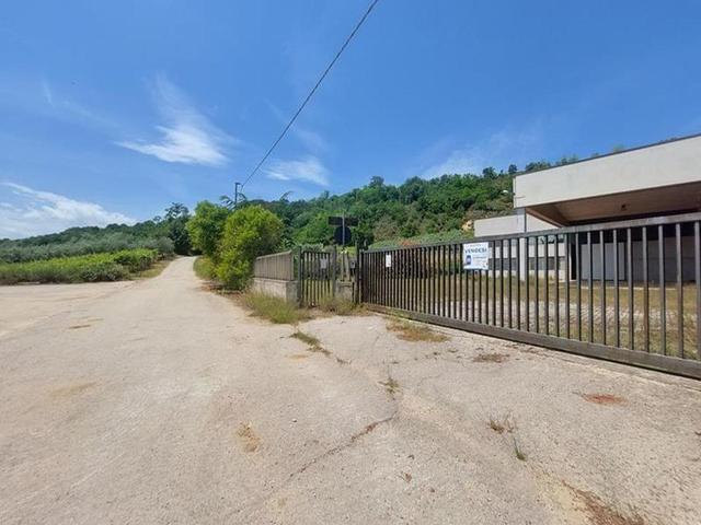 #14696 Capannone con area di pertinenza in vendita - foto 8