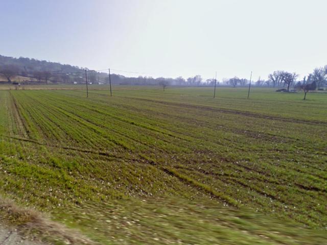 #24968 Terreno agricolo di 22.000 mq in vendita - foto 3