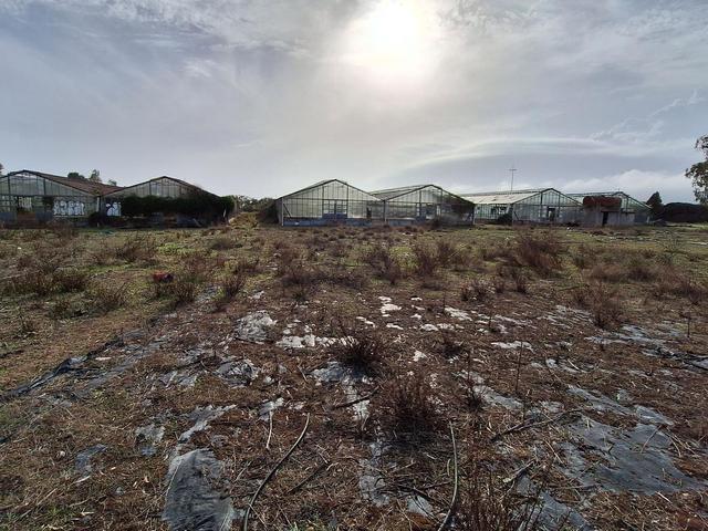 #25625 Terreno agricolo a Pula (CA) in vendita - foto 4
