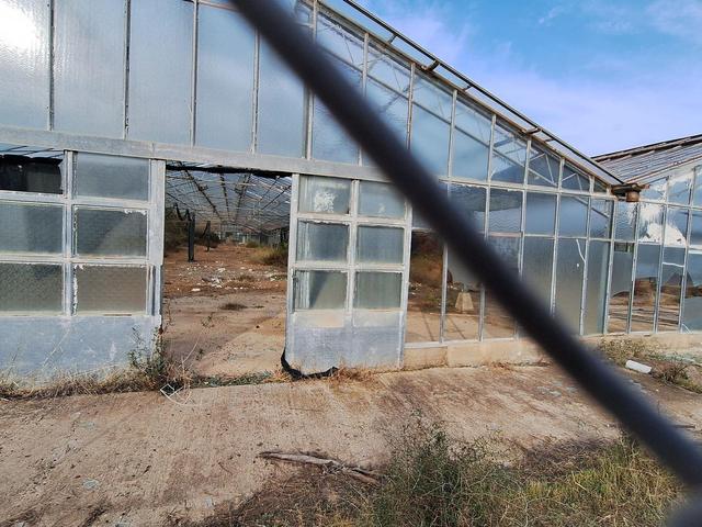 #25625 Terreno agricolo a Pula (CA) in vendita - foto 8
