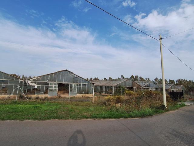 #25625 Terreno agricolo a Pula (CA) in vendita - foto 10