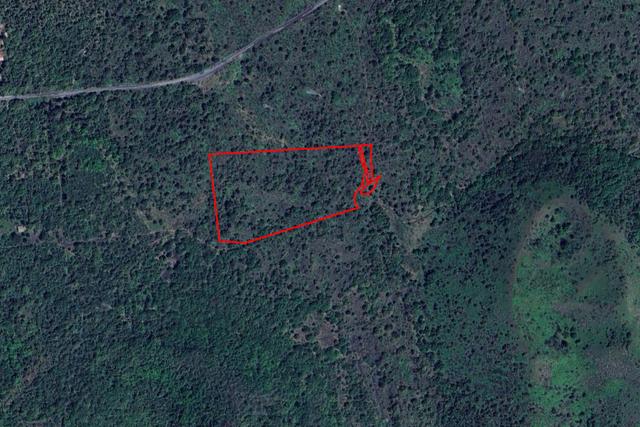 #2537151 Terreno boschivo in vendita - foto 1