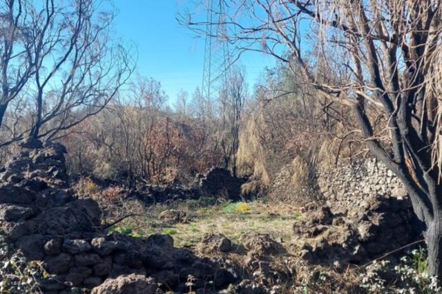 #2537151 Terreno boschivo in vendita - foto 3