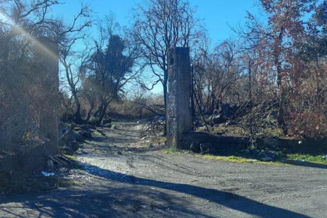 #2537151 Terreno boschivo in vendita - foto 7