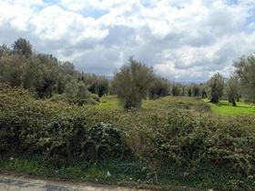 Agricoli in vendita