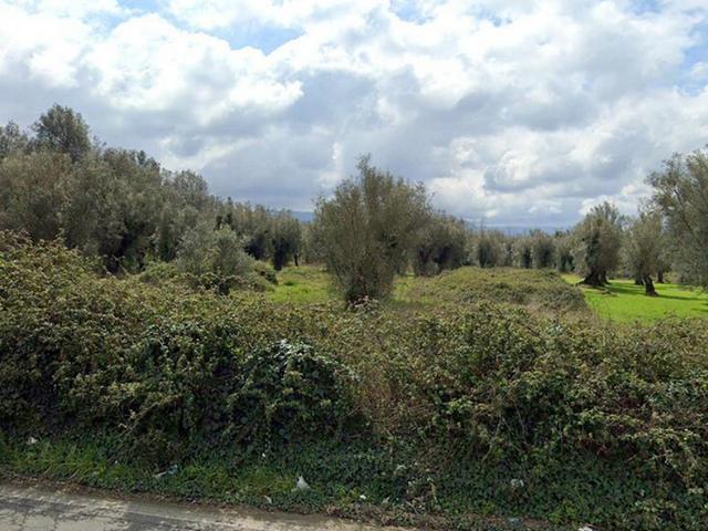 Agricoli in vendita