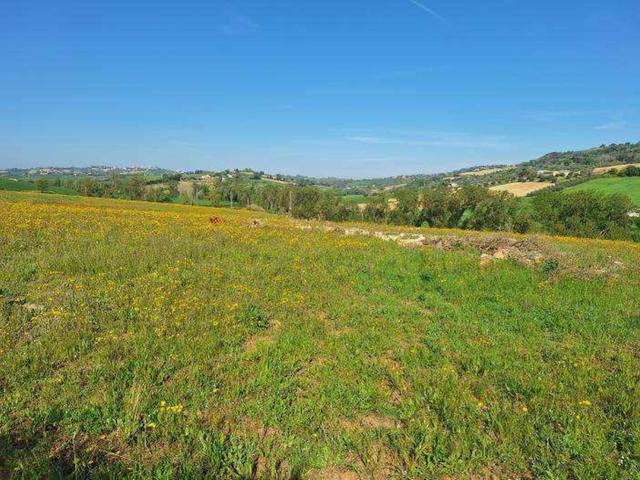 Rustici e casali in vendita