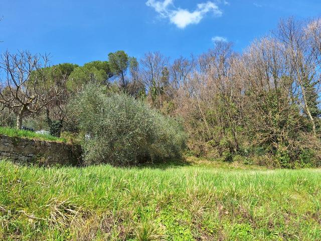 #23216 Terreno edificabile di 1.010 mq in vendita - foto 12