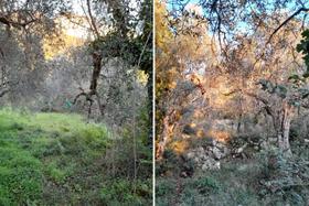 Agricoli in vendita
